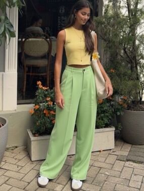 🆕️Zara Highwaisted Pleated Pants